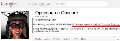 google+ suspended profile